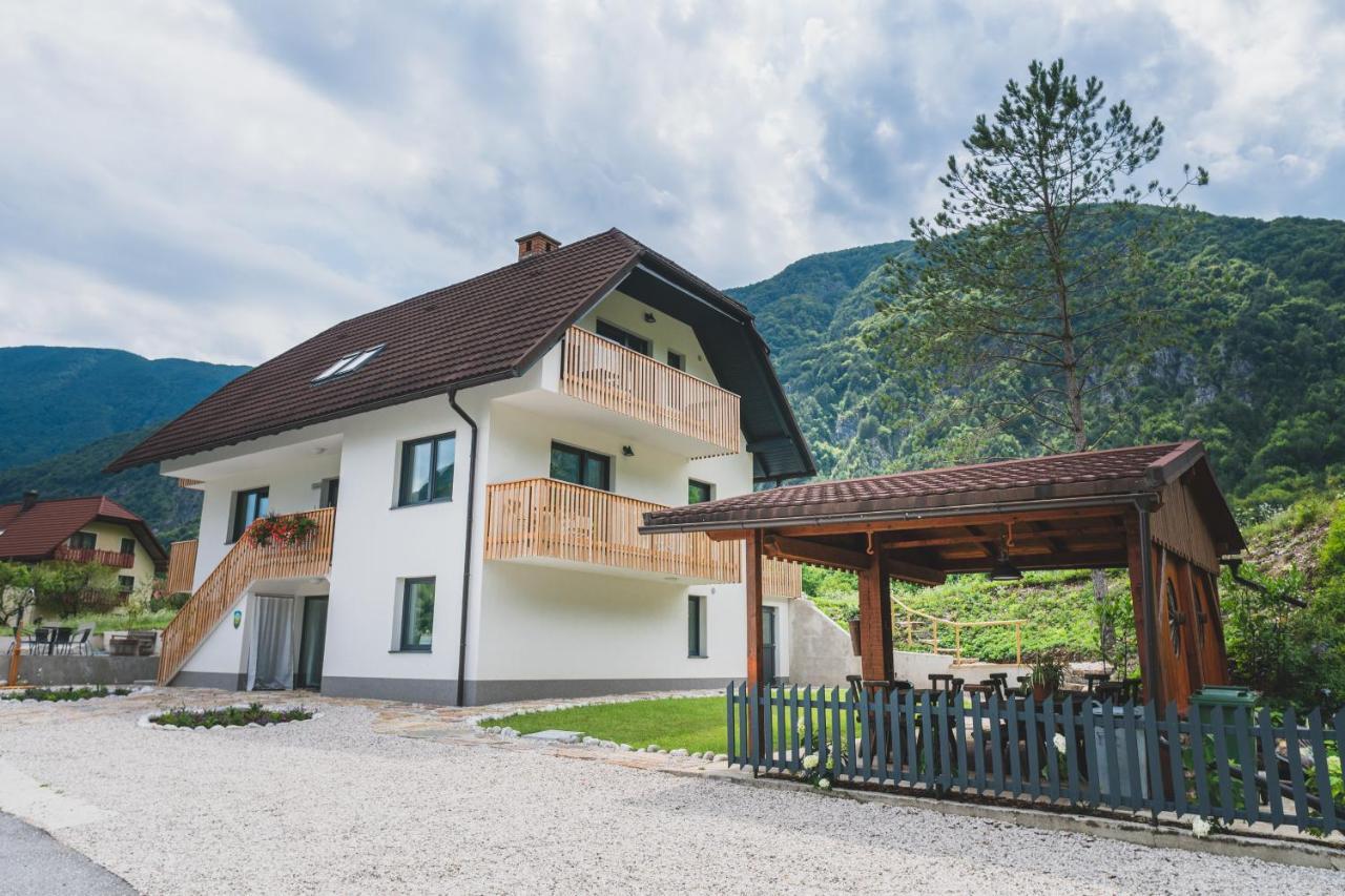 Hisa Lojz Apartment Zaga Exterior photo