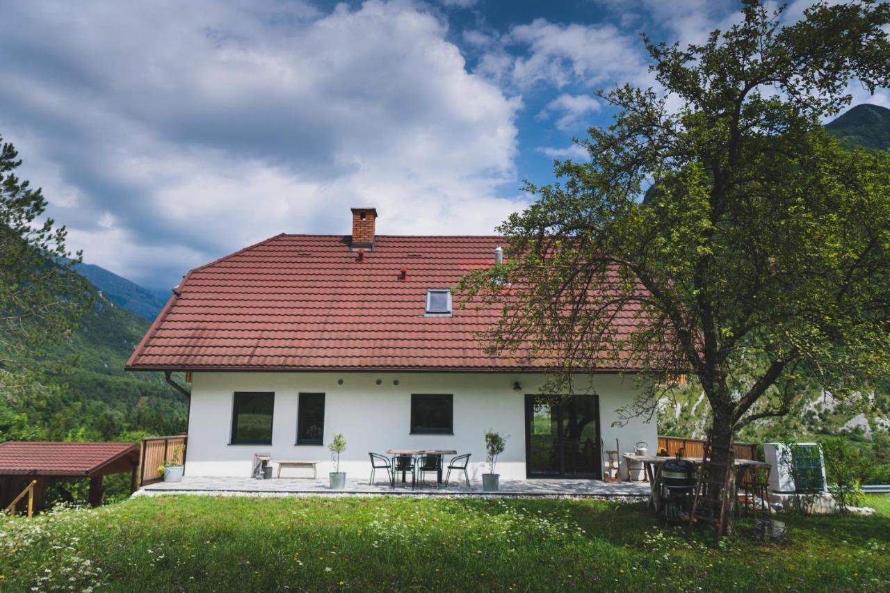 Hisa Lojz Apartment Zaga Exterior photo